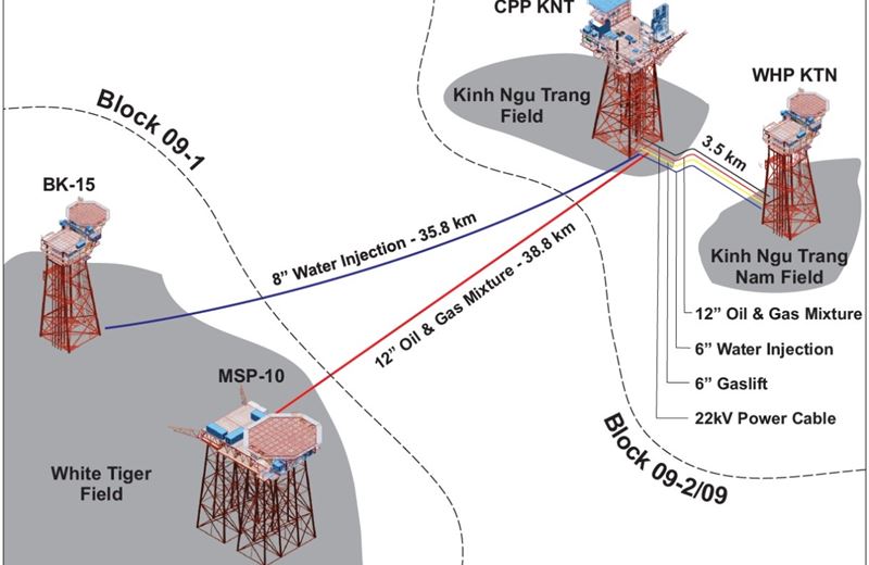 Dấu ấn Viện NIPI trong thành công của dự án Kình Ngư Trắng - Kình Ngư Trắng Nam