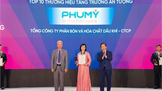 PVFCCo - Phú Mỹ tiếp tục đạt danh hiệu kép: Top 50 Thương hiệu mạnh và Top 50 Công ty kinh doanh hiệu quả nhất năm 2025