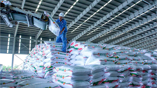 PVCFC chính thức lấy ngày 10/9 là Ngày truyền thống