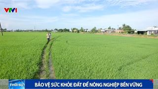 [VIDEO] Bảo vệ sức khỏe đất để nông nghiệp bền vững