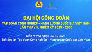 [VIDEO] Đại hội Công đoàn Tập đoàn Công nghiệp - Năng lượng Quốc gia Việt Nam lần thứ VIII, nhiệm kỳ 2025 - 2030