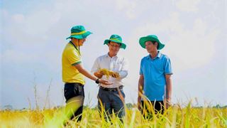 Phân bón Cà Mau 2025: Vượt “gió ngược” nhờ năng lực nội sinh