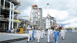 “Hạt giống Việt” nở mùa xuân mới
