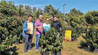 PVFCCo - Phú Mỹ: Chinh phục cao nguyên Bolaven