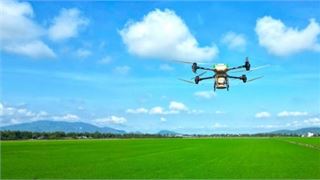Bón phân Phú Mỹ bằng drone: Giải pháp giúp nhà nông tiết kiệm, an tâm cho mùa bội thu