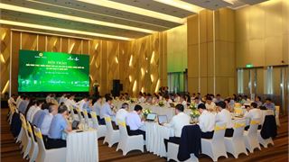 NMLD Dung Quất sẽ là hạt nhân của trung tâm lọc hóa dầu và năng lượng quốc gia