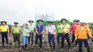 Ngày Môi trường Thế giới: “Áp lực kép” của ngành năng lượng