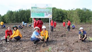 Petrovietnam trồng rừng tại Cà Mau: Gieo mầm xanh từ trách nhiệm phát triển bền vững