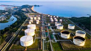 BSR và PVSM: Hai mắt xích quan trọng trong phát triển hệ sinh thái công nghiệp - năng lượng tại miền Trung