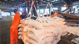 Bài 3: Petrovietnam và sứ mệnh bảo đảm an ninh lương thực quốc gia