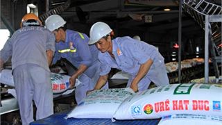 Đạm Cà Mau trở thành lựa chọn số 1 của nông dân Tây Nam bộ