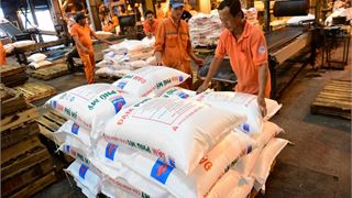 PVFCCo - Vững vàng thương hiệu hàng đầu trong ngành nông nghiệp