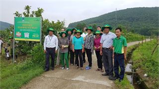 Sử dụng phân bón Phú Mỹ trên cây ổi và cây lúa mang lại hiệu quả cao