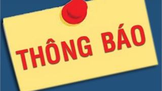 CTCP Chế tạo Giàn khoan Dầu khí: Báo cáo tài chính bán niên năm 2021