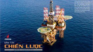 Bản tin Chiến lược số 01/2023