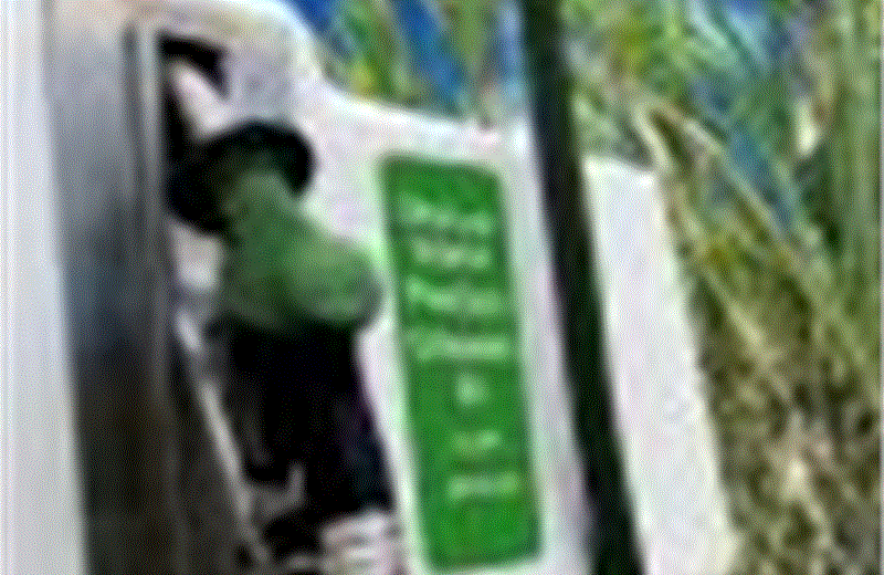 Brazil tăng tỷ lệ bắt buộc pha cồn ethanol vào xăng