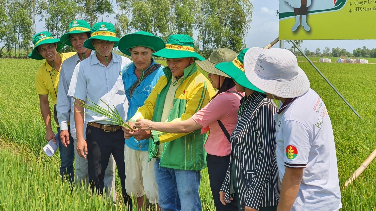 Tác phẩm Ký sự “Nơi mùa vàng bắt đầu””
