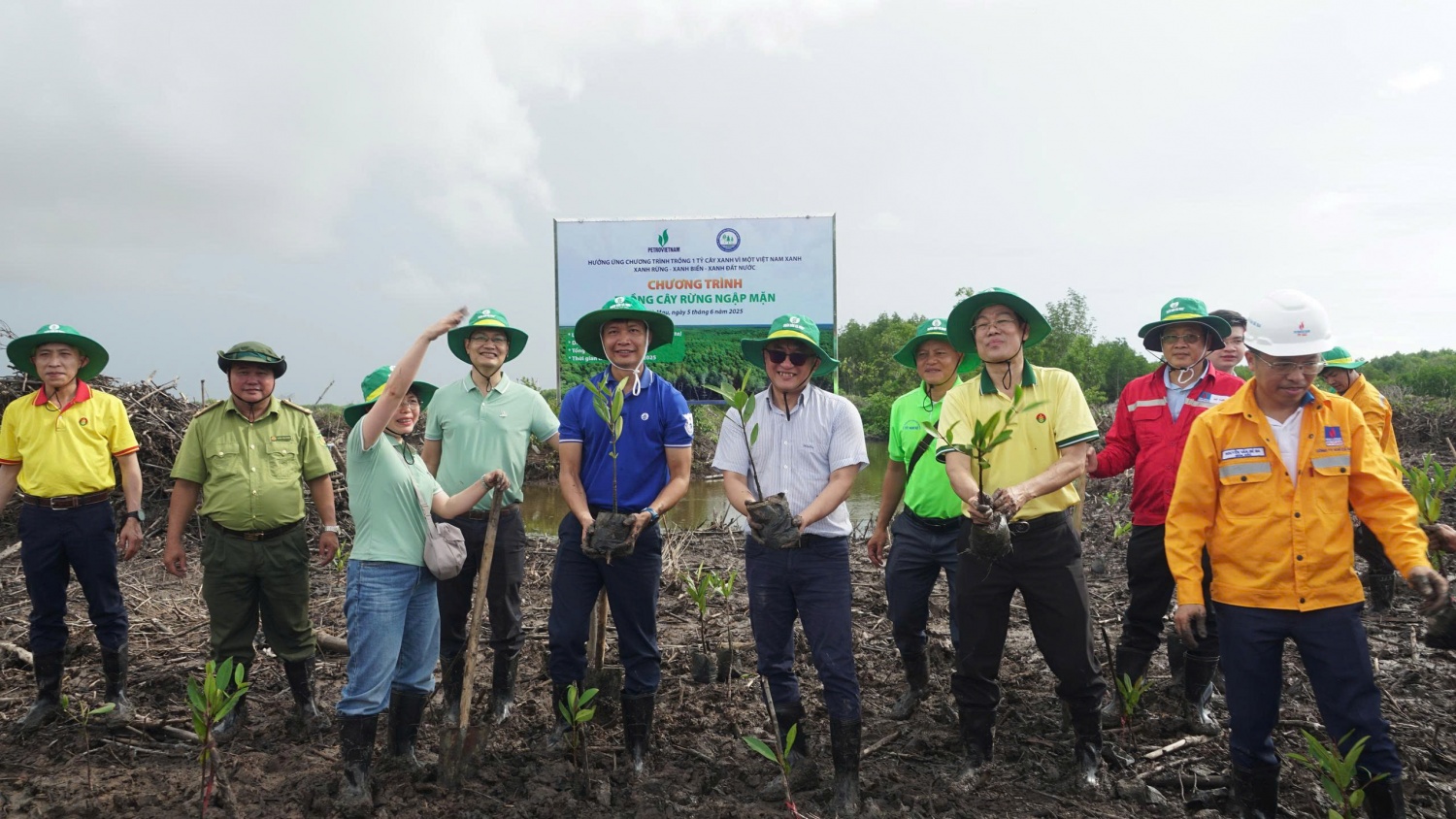 Hưởng ứng Ngày Môi trường Thế giới, Petrovietnam triển khai trồng rừng ngập mặn tại Cà Mau”