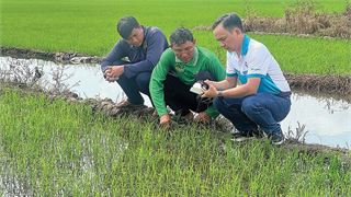 Chuyện về người chuyên bắt bệnh cho đất