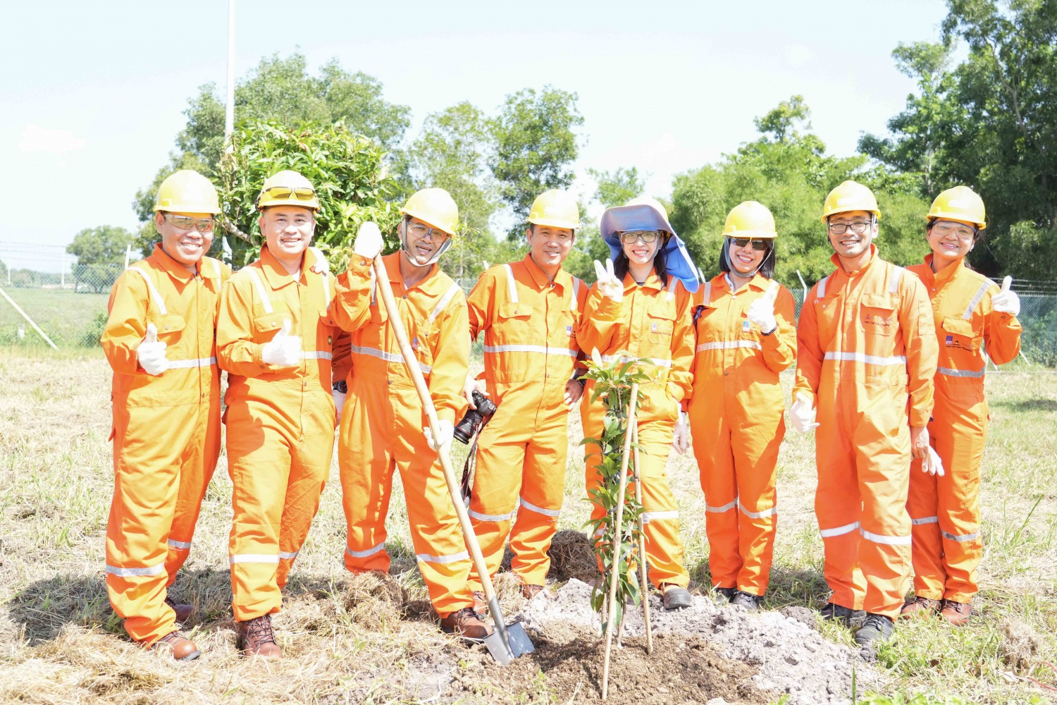NCSP và PV GAS D chung tay phủ xanh không gian sống”