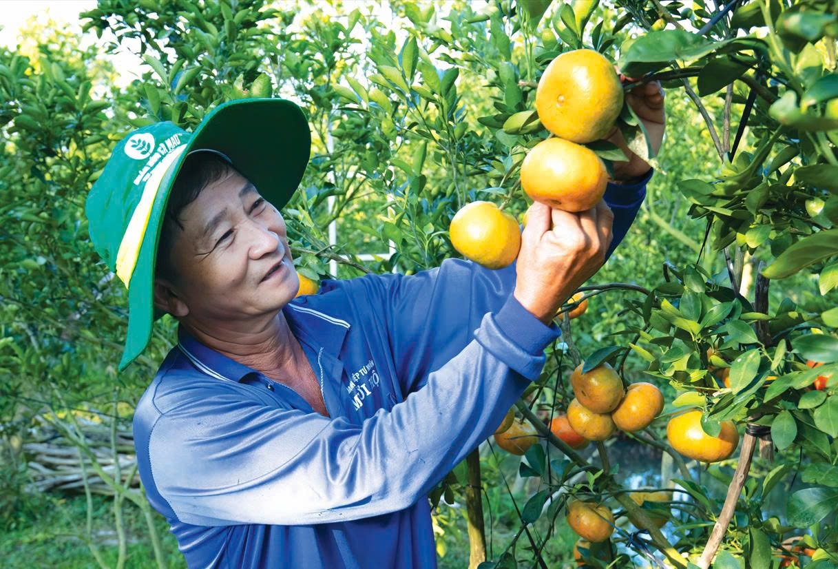 PVCFC được vinh danh Top 5 doanh nghiệp niêm yết Việt Nam - Khẳng định đẳng cấp quản trị ASEAN”