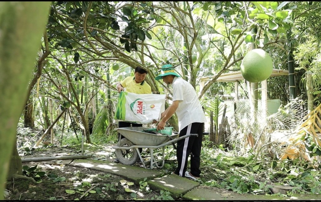 PVCFC: Tăng trưởng vượt kế hoạch, cổ phiếu DCM hưởng lợi từ thương vụ M&A KVF”