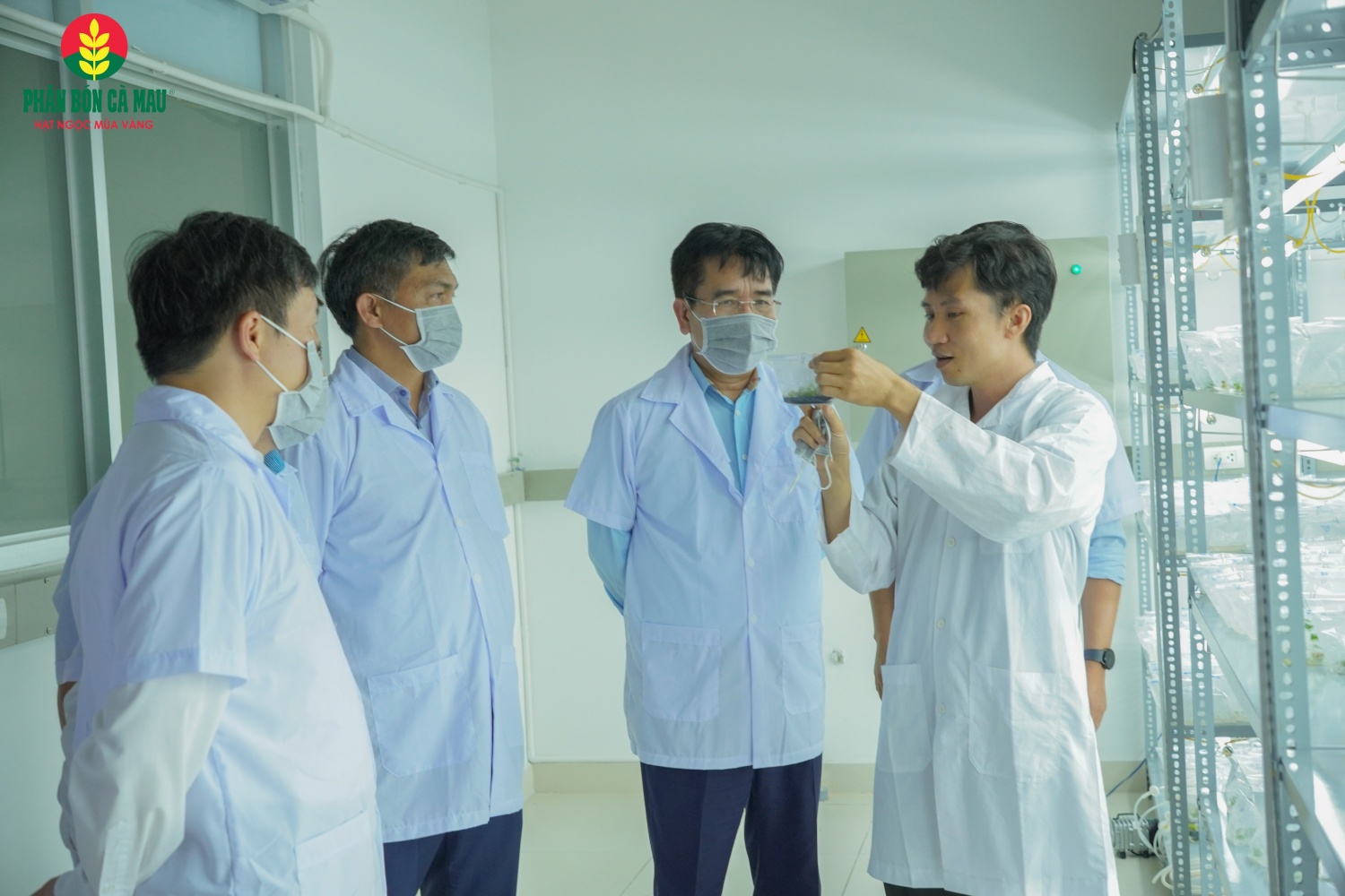 R&D - Chiến lược phát triển lõi, bệ phóng tăng trưởng dài hạn của PVCFC”