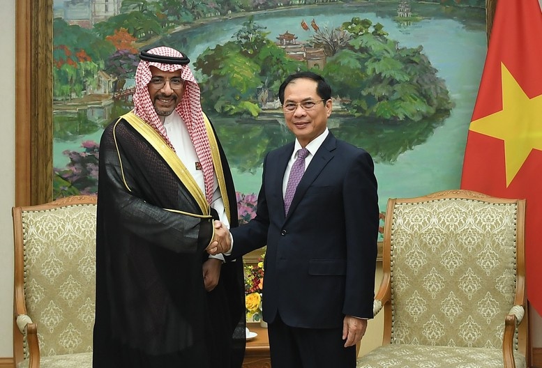 Việt Nam mong muốn Saudi Arabia thúc đẩy cung cấp dầu thô, khí hoá lỏng ổn định, lâu dài”