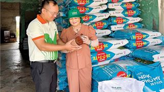 Những bước chân làm nên niềm tin Phú Mỹ