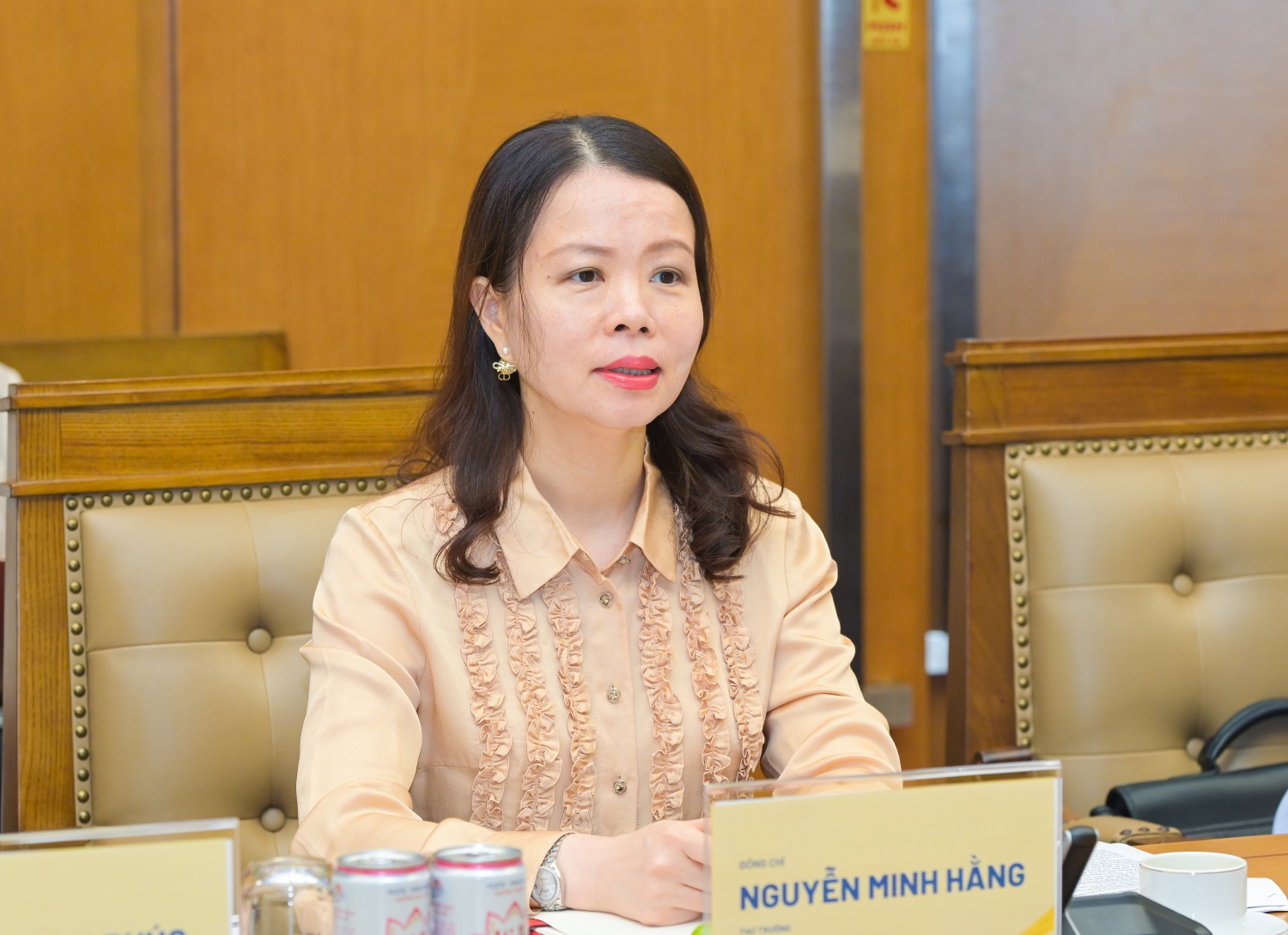 Thứ trưởng Bộ Ngoại giao Nguyễn Minh Hằng trao đổi tại buổi làm việc.