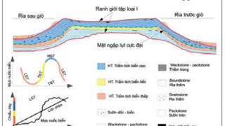 Dự báo tướng thạch học và môi trường trầm tích cho đó chưa carbonate phía nam bể Sông Hồng, Việt Nam