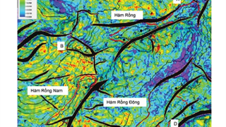 Đặc trưng tầng chứa đá carbonate Mesozoic ở cụm cấu tạo Hàm Rồng, Lô 106 thềm lục địa Việt Nam.