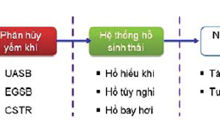 Nghiên cứu cải tiến hệ thống xử lý nước thải của nhà máy nhiên liệu sinh học Dung Quất.