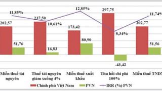 ĐỊNH HƯỚNG VỀ CƠ CHẾ CHÍNH SÁCH CHO VIỆC PHÁT TRIỂN CÁC MỎ DẦU CẬN BIÊN Ở VIỆT NAM