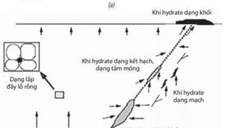 Dấu hiệu và dự báo vùng có triển vọng khí hydrate ở Biển Đông Việt Nam