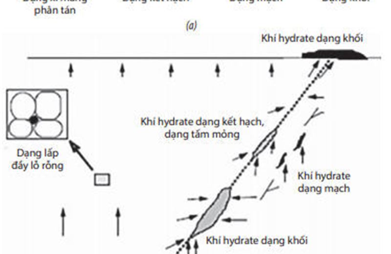 Dấu hiệu và dự báo vùng có triển vọng khí hydrate ở Biển Đông Việt Nam
