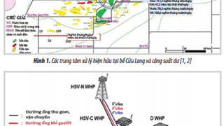 Nghiên cứu đảm bảo dòng chảy trong đường ống vận chuyển dầu khí đa pha kết nối mỏ nhỏ/cận biên tới các công trình biểu hiện hữu bể Cửu Long