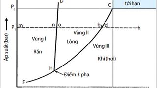 Nghiên cứu khả năng áp dụng giải pháp bơm hệ hóa phẩm dung môi hydrocarbon - hóa nhiệt trong xử lý đơn giếng nhằm nâng cao hệ số thu hồi dầu nặng tại Miocene dưới và Oligocene trên mỏ Rồng
