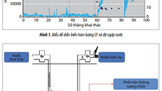 Đánh giá nguyên nhân và đưa ra giải pháp khắc phục hiện tượng suy giảm hệ số sản phẩm trong quá trình bơm ép nước đối với các giếng khai thác sử dụng dung dịch khoan có CaCl cao
