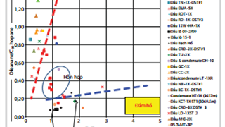 Phân loại họ dầu bể Nam Côn Sơn