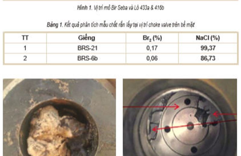 Hiện tượng lắng đọng muối trong quá trình khai thác và các giải pháp xử lý ở mỏ Bir Seba, lô 433a&416b, Algeria