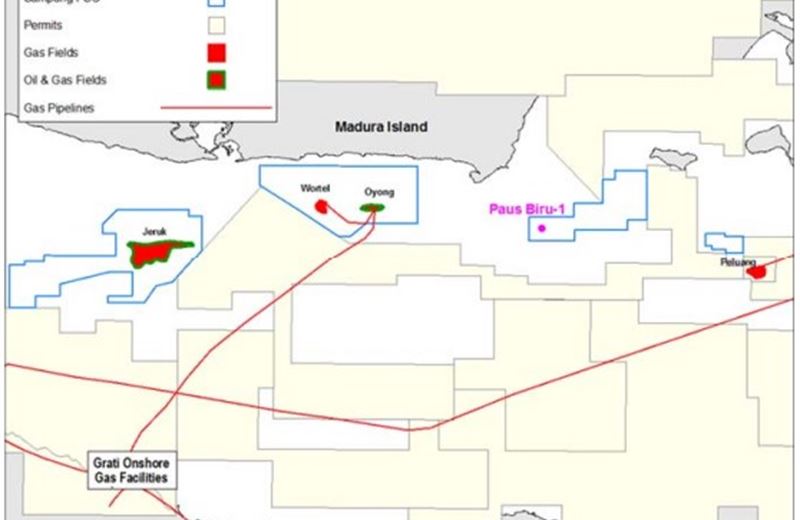 Ophir Energy tim thấy phát hiện khí tại Indonesia