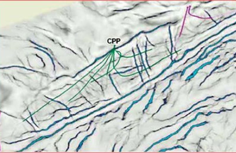 Application of seismic attribute analysis to study fractured basement