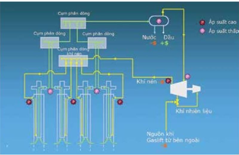Giải pháp tối ưu Gaslift tại các giàn đầu giếng bể Cửu Long với hàm lượng nước cao