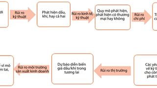 Phòng ngừa rủi ro trong hợp đồng dầu khí quá lăng kính lý thuyết kinh tế