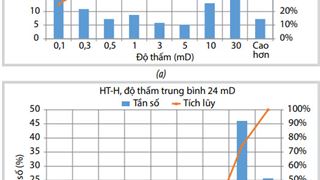 Kết quả đo độ thấm bằng nhiều phương pháp khác nhau cho vỉa turbidite mỏ Hải Thạch, bể Nam Côn Sơn