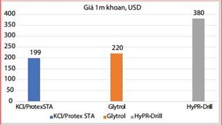Nghiên cứu thử nghiệm công nghiệp hệ dung dịch khoan ức chế “KCL-Protex Sta” và sử dụng  kết hợp hợp chất Protex sta với các hệ dung dịch khoan CFL- AKK-KCL-Pag, Kgac bổ sung để nâng cao hiệu quả thi công giếng khoan.