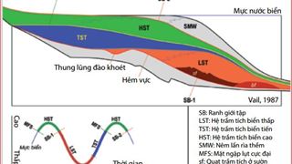 Sinh địa tầng và địa tầng phân tập trầm tích Miocene giữa - Pliocene dưới, Lô 05-1, bể nam côn sơn