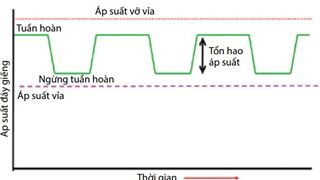 Hiệu quả áp dụng phương pháp khoan kiểm soát áp suất khi thi công các giếng dầu khí ở việt nam và xây dựng mô hình tính toán các thông số khoan kiểm soát áp suất cho giếng khoan bể cửu long
