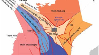 Đặc điểm thạch hóa và sự phân bố của trùng lỗ trong đá vôi permian phía nam lô 106, bể Sông Hồng